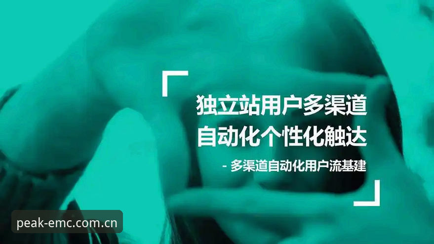 资深用户分享：世界杯观赛签证危机背后的冷思考——从易倍体育平台看赛事热度骤降的实战经验